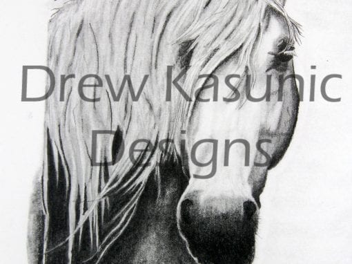 Horse Art Hand drawn by Drew Kasunic